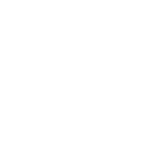 Ledgers Analyzed