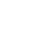 Audit Queries